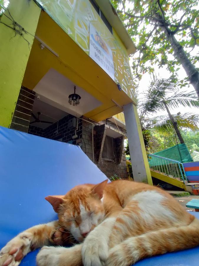 Goanvibes Hostel Anjuna Buitenkant foto